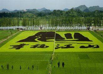 1546607450539821.jpg 江山.jpg