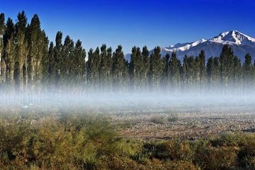 1546845264171529.jpg 1.jpg