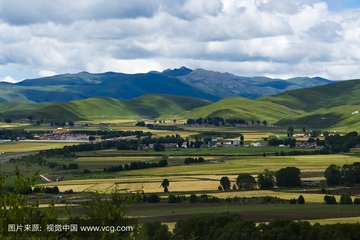 1546866619819839.jpg 1.jpg