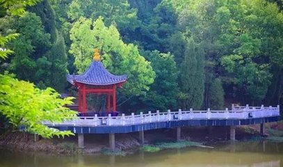 1546867460842731.jpg 2.jpg