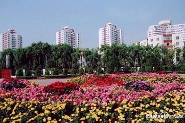 1546914791291068.jpg 1.jpg