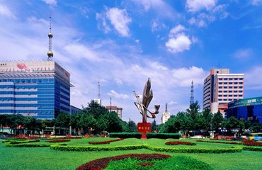 1546923986669161.jpg 1.jpg