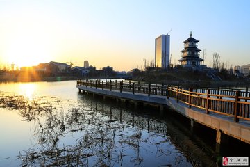 1546925748927906.jpg 1.jpg