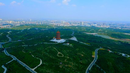 1546950038124820.jpg 2.jpg