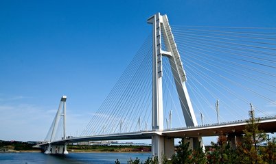 1546950589726580.jpg 2.jpg