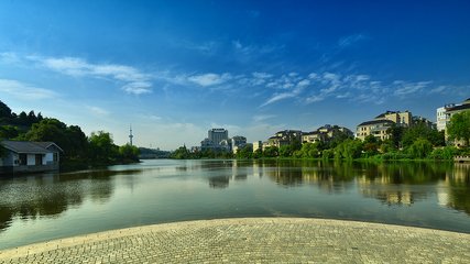 1547027658100230.jpg 1.jpg