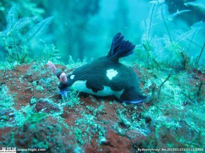 1573085797365194.jpg 導游詞.jpg