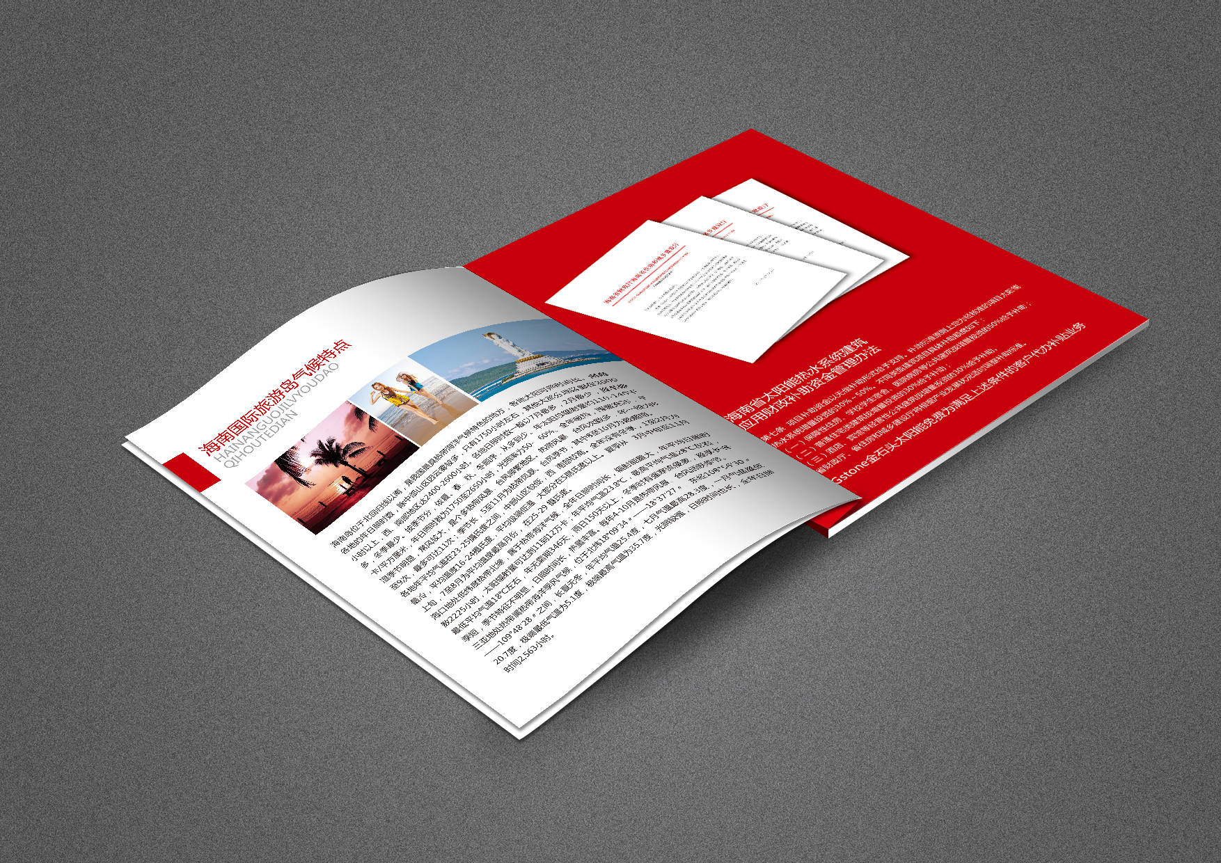 1581126365994551.jpg 宣傳冊.jpg