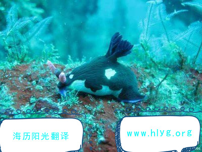 1660783464804882.jpg 導游詞.jpg