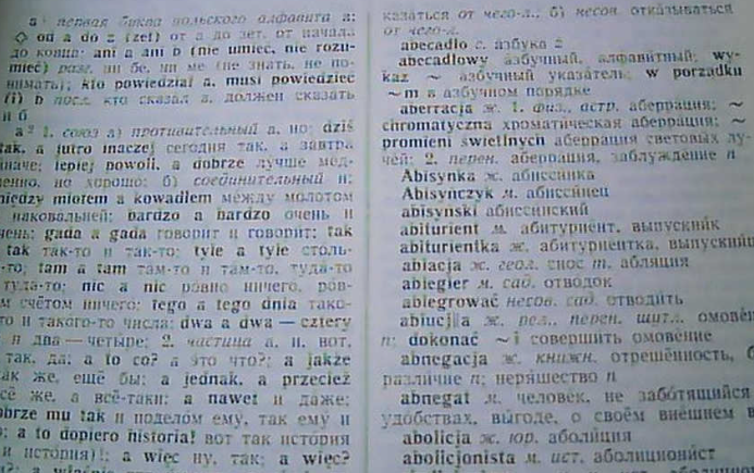 1741304894425646.png 波蘭語(yǔ)翻譯.png